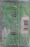Kenny Loggins. The Unimagenable Life. Casette
