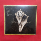 Robert Plant. And The Sensational Space Shifters. CD