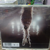 Miley Cyrus. Something Beautiful