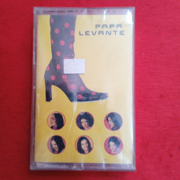 Papa Levante Centro Musical