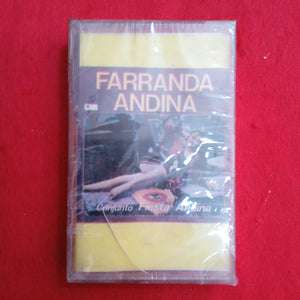 Farranda Andina. Conjunto Fiesta Andina