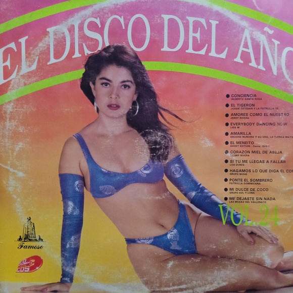 El Disco Del Año. Vol. 24